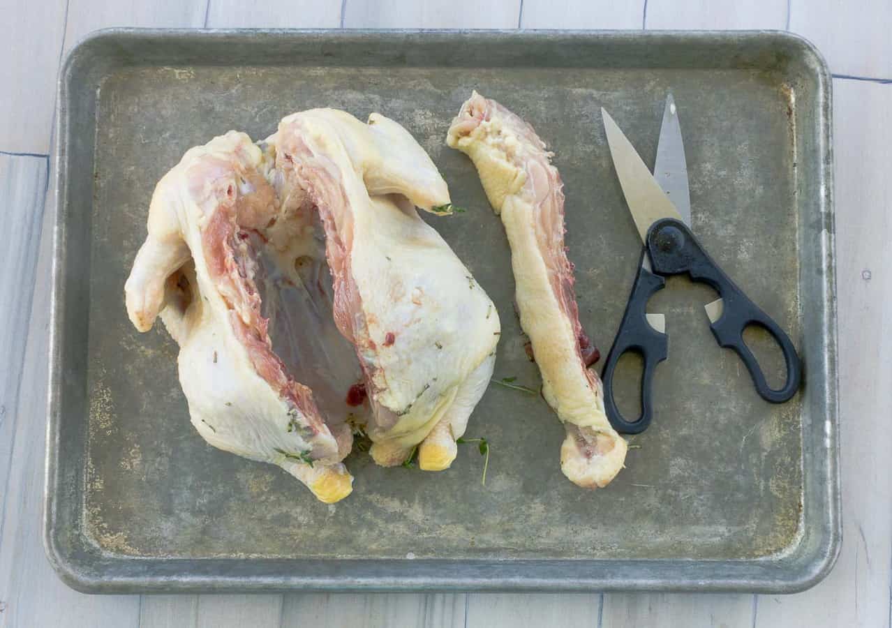 chicken on baking sheet with scissors and backbone removed