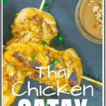 Thai Chicken Satay Skewers