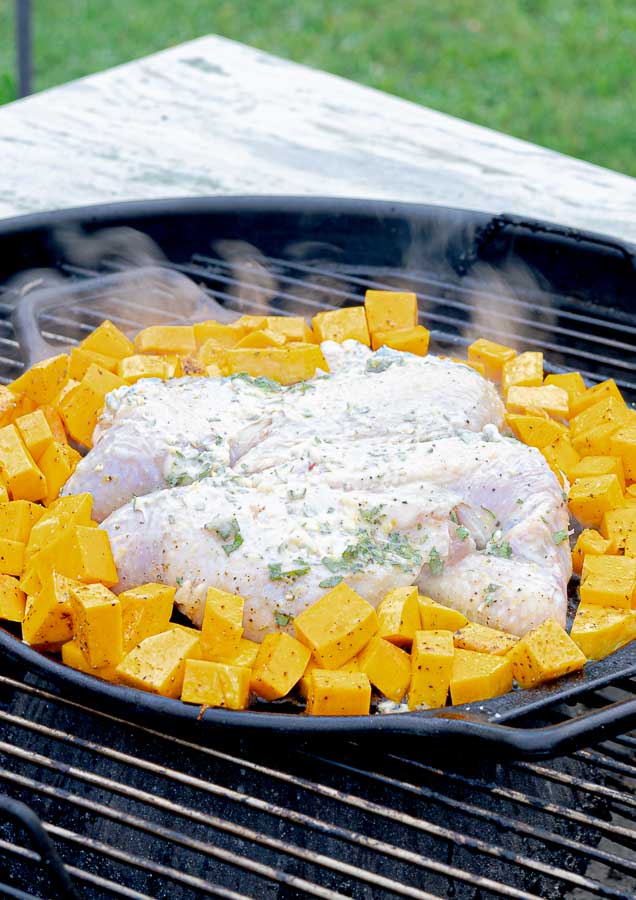 a seasoned, spatchcocked chicken with seasoned butter surrounded by squash